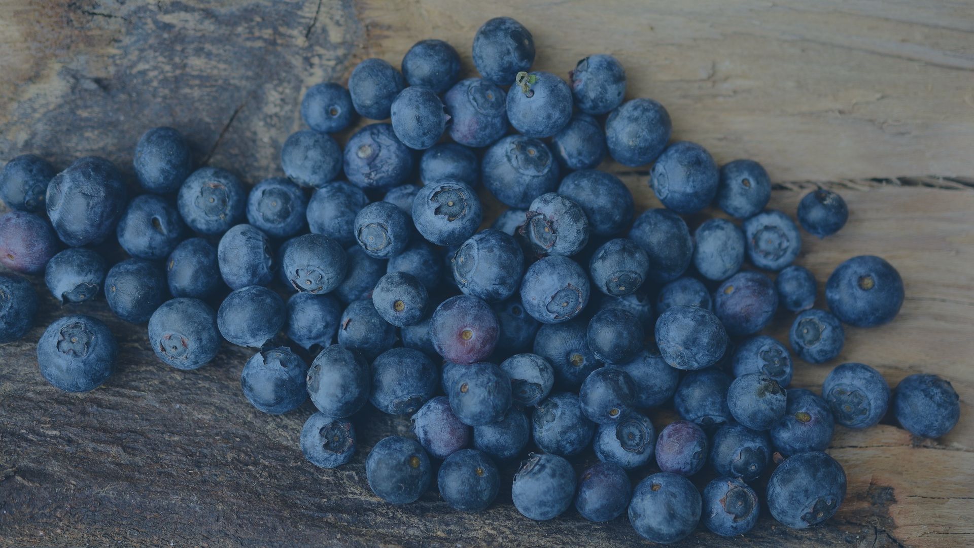 Blueberry harvest is one driver of refrigerated freight capacity shift to the PNW.